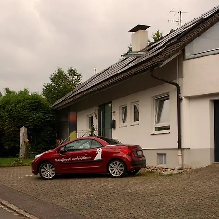 Apartman Avantgarde Living